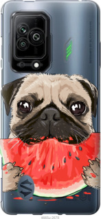

Чехол Мопс и арбуз для Xiaomi Black Shark 5 1427347