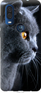 Чехол Красивый кот для Motorola One Vision