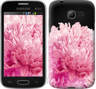 

Чохол Хризантема на Samsung Galaxy Star Plus S7262 844205