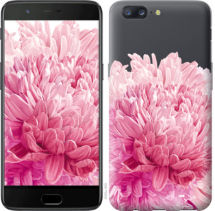 

Чехол Хризантема для OnePlus 5 844727