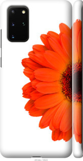 

Чехол Гербера 1 для Samsung Galaxy S20 Plus 957903
