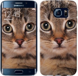 Чехол Полосатый котик для Samsung Galaxy S6 Edge G925F