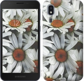 

Чохол Ромашки v2 на Samsung Galaxy A2 Core A260F 764726