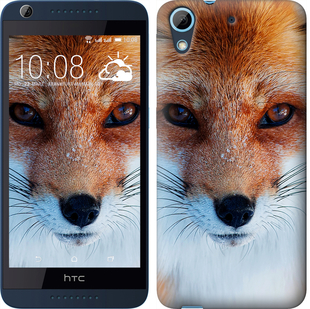 

Чохол Руда лисиця на HTC Desire 626G 78597