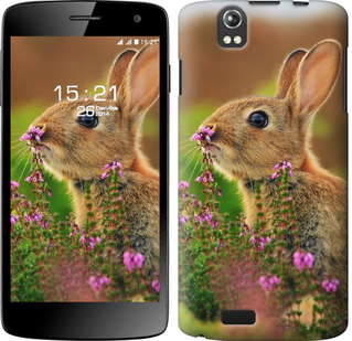 

Чехол Кролик и цветы для Fly IQ4503 150181