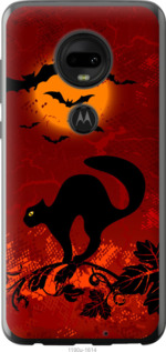 

Чехол Чёрная кошка под луной для Motorola Moto G7 Plus 1422576