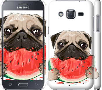 

Чехол Мопс и арбуз для Samsung Galaxy J2 J200H 843497