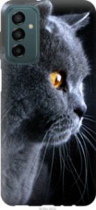 Чехол Красивый кот для Samsung Galaxy M23 M236B