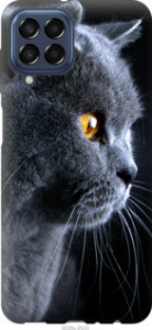 Чехол Красивый кот для Samsung Galaxy M33 M336B