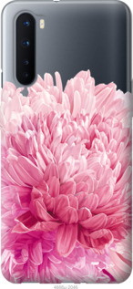 

Чохол Хризантема на OnePlus Nord 1086085