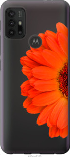 

Чехол Гербера 1 для Motorola Moto G30 1589631