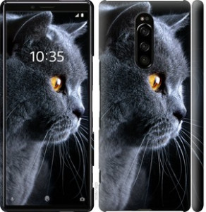 Чохол Гарний кіт на Sony Xperia 1 J9110