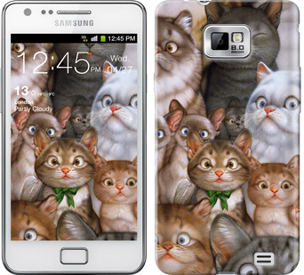 

Чехол коты для Samsung Galaxy S2 i9100 476309