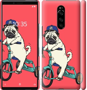 

Чохол Мопс на велосипеді на Sony Xperia 1 J9110 763647