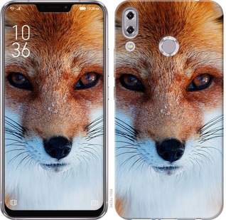 

Чохол Руда лисиця на Asus Zenfone 5 ZE620KL 672497