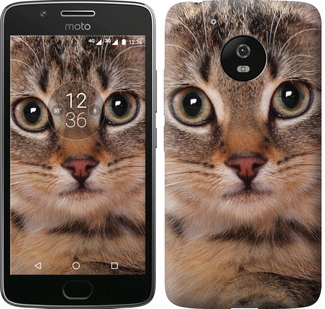 

Чехол Полосатый котик для Motorola Moto G5 655459