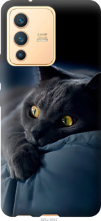Чехол Дымчатый кот для Vivo V23