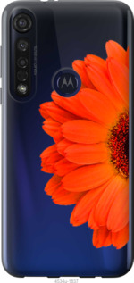 

Чехол Гербера 1 для Motorola G8 Plus 1589622