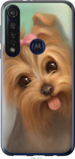 

Чохол Нарисованный йоркширский терьер для iPhone на Motorola G8 Plus 1581702