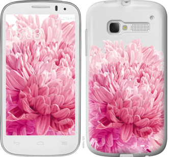

Чохол Хризантема на Alcatel One Touch Pop C5 5036D 844712