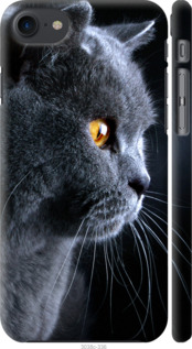 

Чехол Красивый кот для iPhone SE 2020 915595