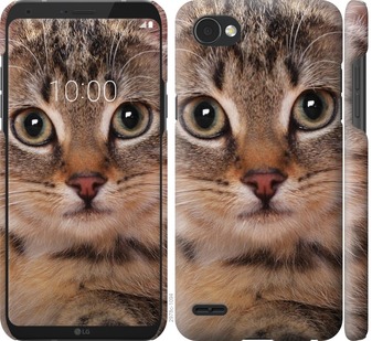 

Чехол Полосатый котик для LG Q6 675811
