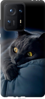 Чехол Дымчатый кот для Xiaomi Mix 4