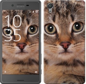 Чехол Полосатый котик для Sony Xperia X F5122