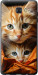 Чехол Котики 2 для Samsung Galaxy C9 Pro