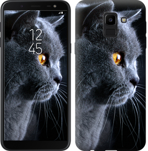 

Чохол Гарний кіт на Samsung Galaxy J6 2018 626642