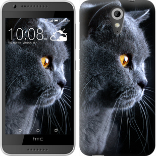 

Чехол Красивый кот для HTC Desire 620 116948