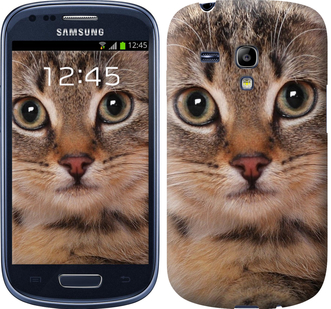 

Чохол Смугастий котик на Samsung Galaxy S3 mini 175517