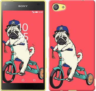 

Чехол Мопс на велосипеде для Sony Xperia J ST26i 87728