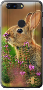 

Чохол Кролик і квіти на OnePlus 5T 656682