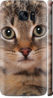 

Чохол Смугастий котик на Samsung Galaxy S7 Edge G935F 175500