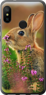 

Чехол Кролик и цветы для Xiaomi Mi A2 Lite 677407