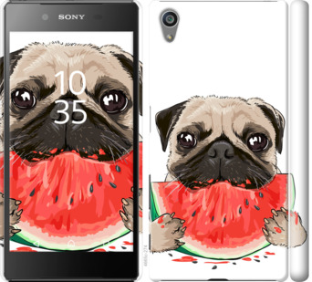 

Чохол Мопс і кавун на Sony Xperia Z5 E6633 843660
