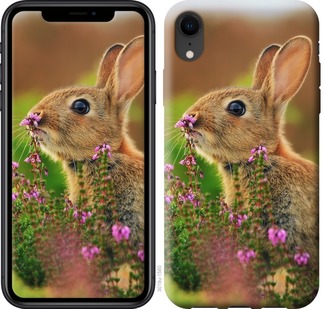 

Чохол Кролик і квіти на iPhone XR 677386