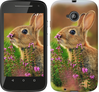 

Чехол Кролик и цветы для Motorola Moto E2 304840