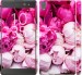 Чехол Розовые пионы для Sony Xperia XA Ultra Dual F3212