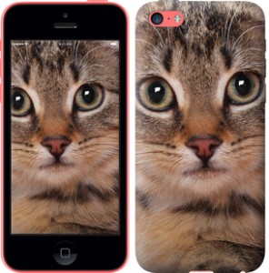 Чехол Полосатый котик для iPhone 5c