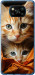 Чохол Котики 2 на Xiaomi Poco X3 Pro