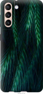 

Чохол Колоски на Samsung Galaxy S21 1580057