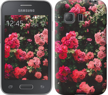 

Чехол Куст с розами для Samsung Galaxy Young 2 G130h 639161
