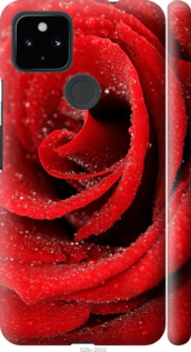 

Чохол Червона троянда на Google Pixel 5 XL 1574252