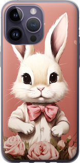 

Чохол Зайчик на iPhone 14 Pro Max 1650487