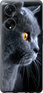 

Чехол Красивый кот для Oppo A98 1693921