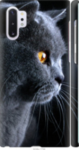 Чехол Красивый кот для Samsung Galaxy Note 10 Plus