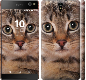 

Чохол Смугастий котик на Sony Xperia C5 Ultra Dual E5533 175707