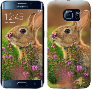 

Чохол Кролик і квіти на Samsung Galaxy S6 Edge G925F 149847